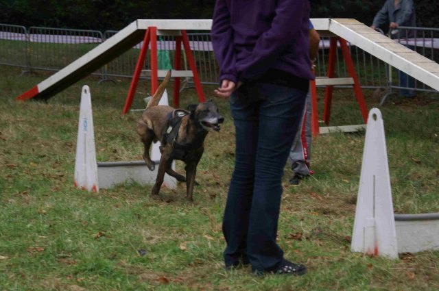 foire-haricots 2011-09-17et18